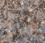 IMG_4909a.webp