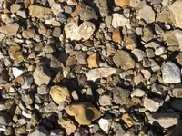 IMG_1428.webp