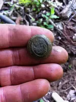 another button day.4.webp
