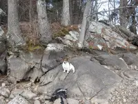 2nd lake hunt feb2012 024.webp