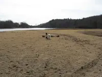 2nd lake hunt feb2012 079.webp