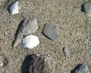 Stark Point 002.webp