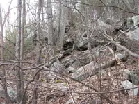 2nd lake hunt feb2012 034.webp