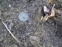 MARCH 13TH OLD HOME IH & BUTTONS 004.webp