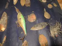 2nd lake hunt feb2012 073.webp