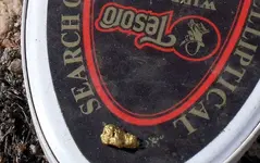 TesoroGold 004.webp