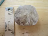 Sand Dollar Beach-3.webp