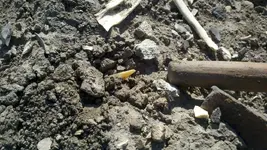 2012-03-13_16-41-34_329 (1024x577).webp