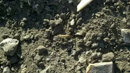 2012-03-13_16-50-12_725 (1024x577).webp
