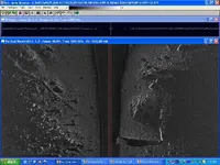mooring 1.webp