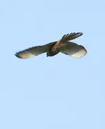20120323_3.webp