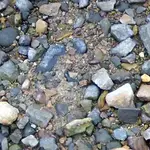 NH FINDS 02-23 027.2.webp