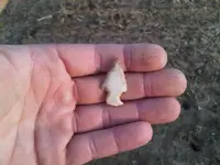 IMG01388-20120319-1801.webp