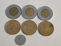 coins 001.webp