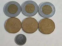 coins 002.webp