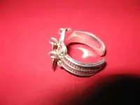 silver ring-2.webp