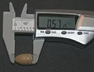 36 cal 2.webp