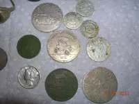 DSCN5431.webp
