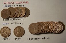 wheat war 59.JPG