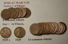 wheat war 59.webp