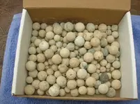 FD Balls.webp