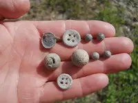 seminole indian war finds.webp