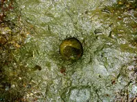 22072010109.webp
