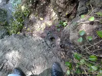 22072010115.webp