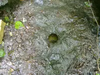 22072010107.webp