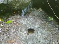 22072010110.webp