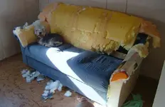 !cid_1AA81A29DC2942D39426891191599A7D@AudreyPC.webp