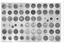 scratchplate.webp