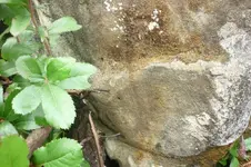 P1040433.webp