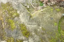 P1040440.webp