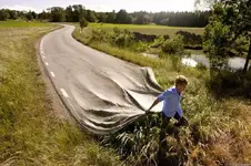 013.webp