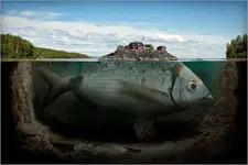 020.webp