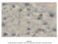 KingleysAnnex2.webp