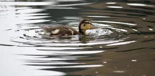 20120503_14.webp