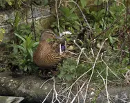 20120418_1.webp 20120418_1.webp