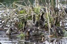 20120503_18.webp