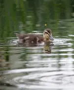 20120503_26.webp