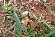 FxCam_1330883365946.webp