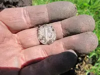 Park Finds 4-21 018.webp