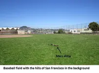 Park Finds 4-21 019.webp