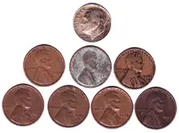 finds.webp