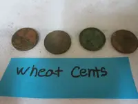 Park Finds 4-21 021.webp