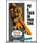 tiger.gif