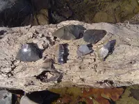 river walking 010.webp
