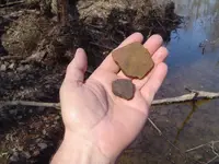 river walking 011.webp