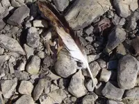 river walking 018.webp